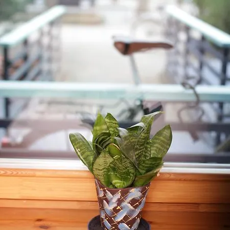 בית הארחה Ramybe 3*