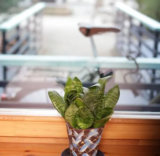 Vendégház Ramybe 3*